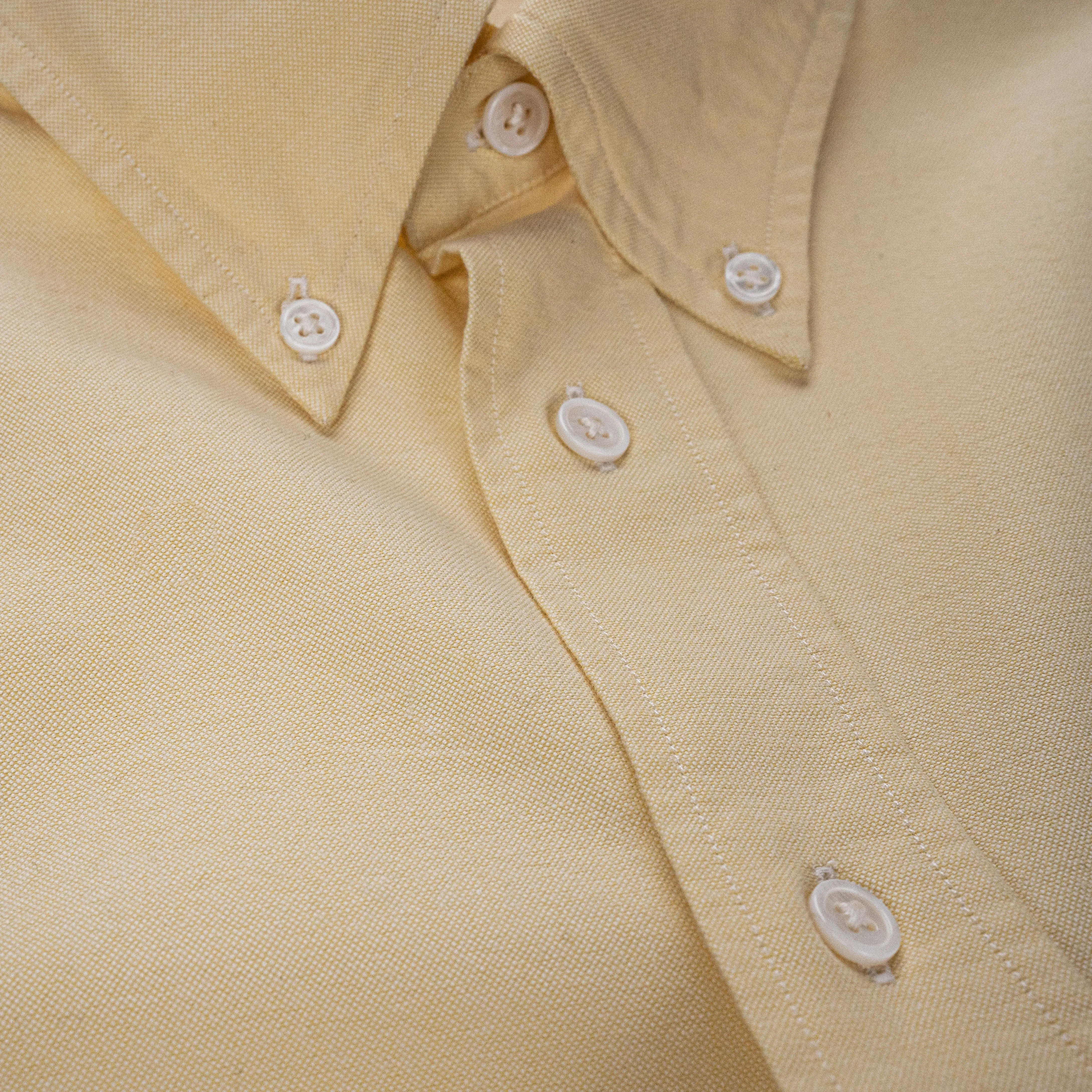 Cardiff in Brushed Oxford