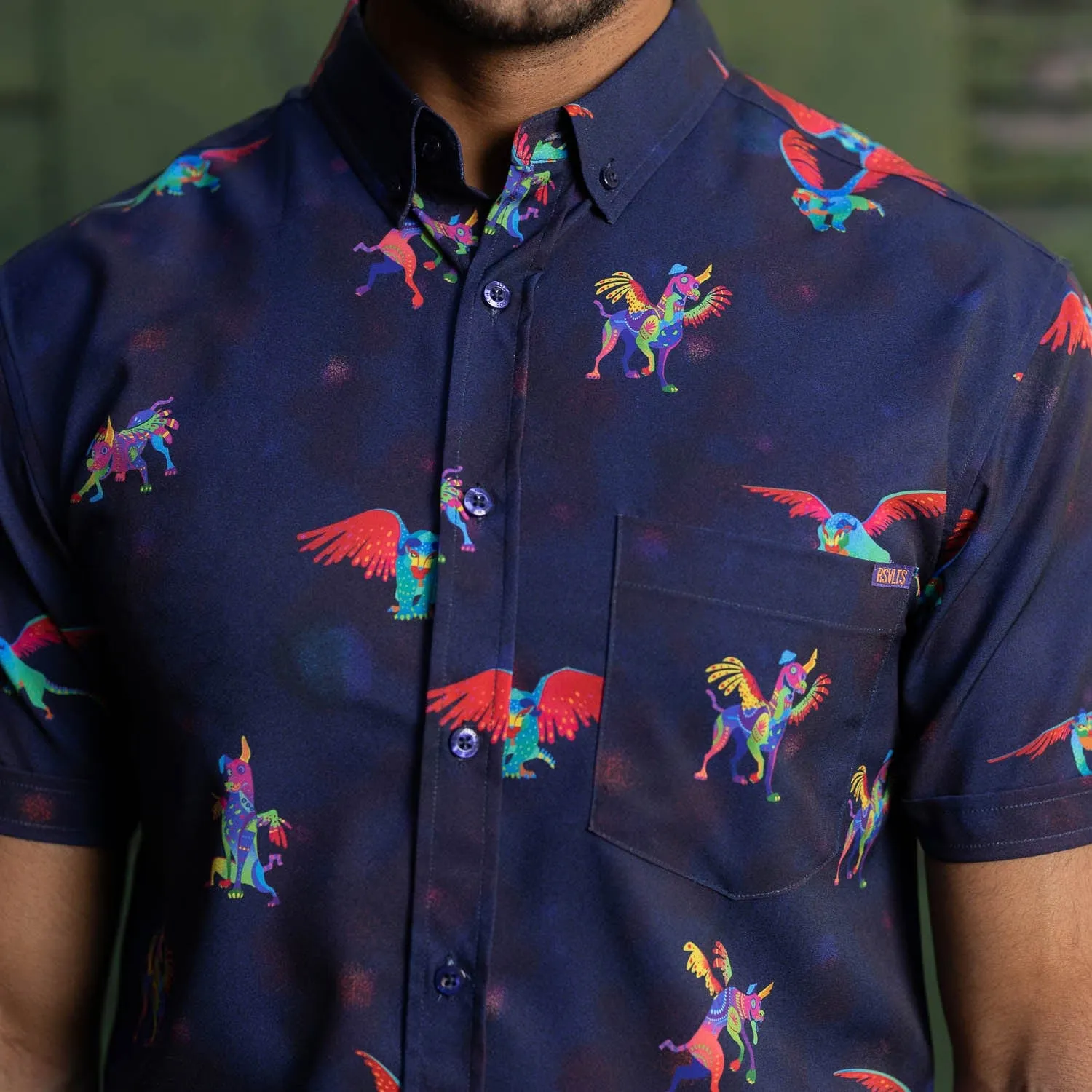 Disney and Pixar Coco "Dante y Pepita" – KUNUFLEX Short Sleeve Shirt