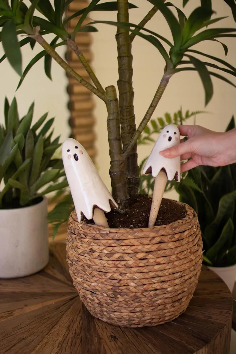 Set of 2 Ceramic Ghost Plant Sticks (Pack of 2)