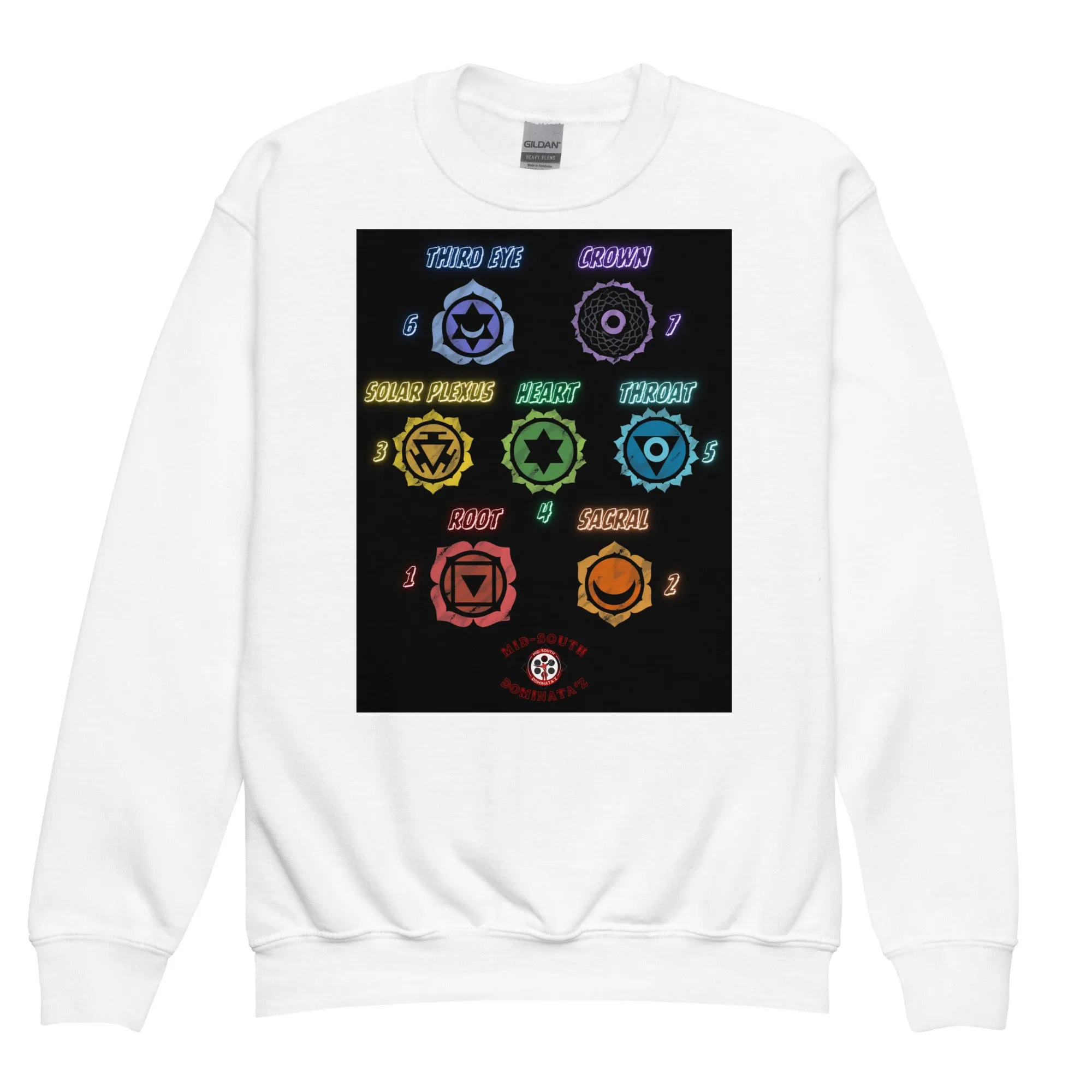 Youth Chakra Unlocker Sweatshirt